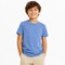 BELLA CANVAS Premium Unisex Airlume Triblend Short Sleeve Tee Eco Friendly Comfort and High Resolution Printability